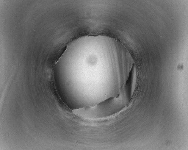 X0000091000033200708161947