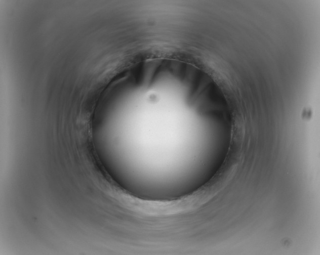 X0000091000034200708161947