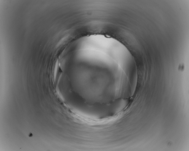 X0000091000035200708161947