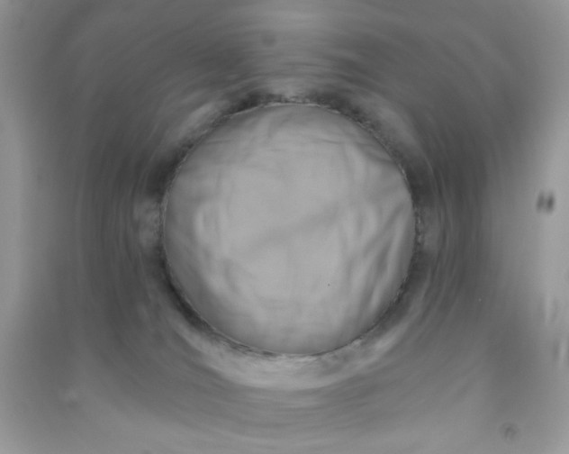 X0000091000036200708161947