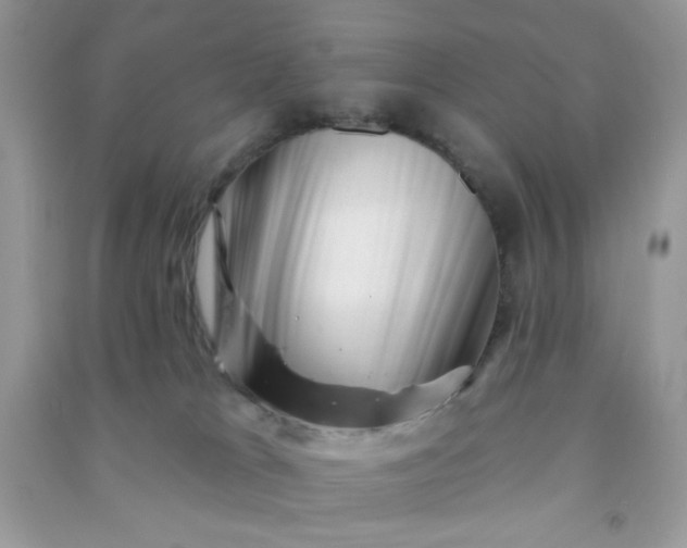 X0000091000037200708161947