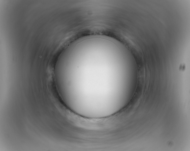 X0000091000038200708161947