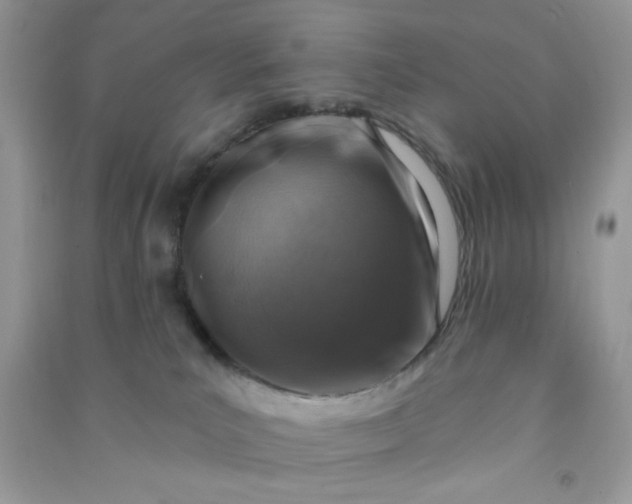 X0000091000039200708161947