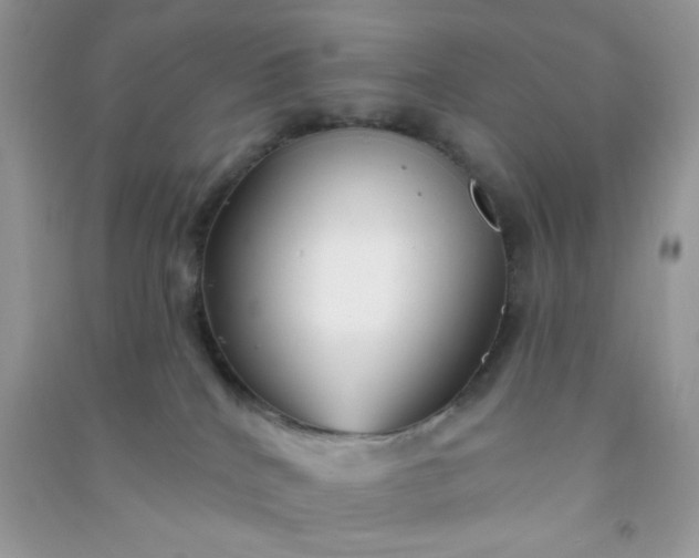 X0000091000040200708161947