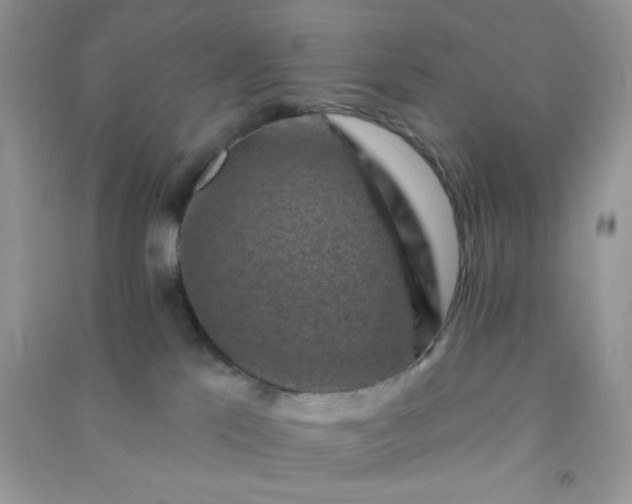 X0000091000041200708161947