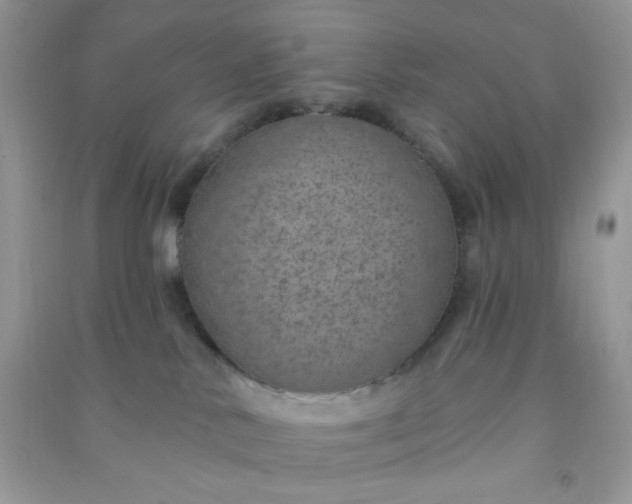 X0000091000042200708161947