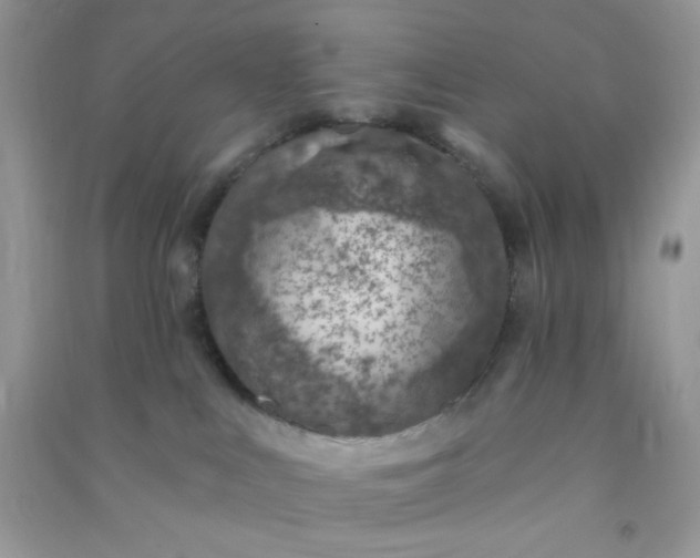 X0000091000043200708161947