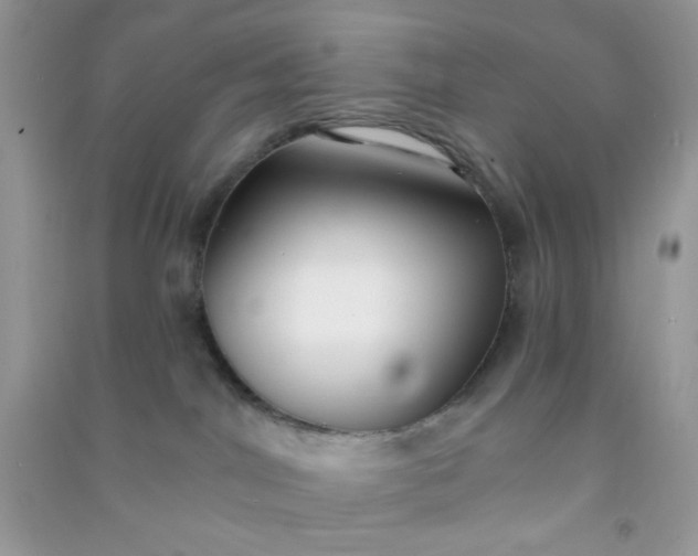 X0000091000044200708161947