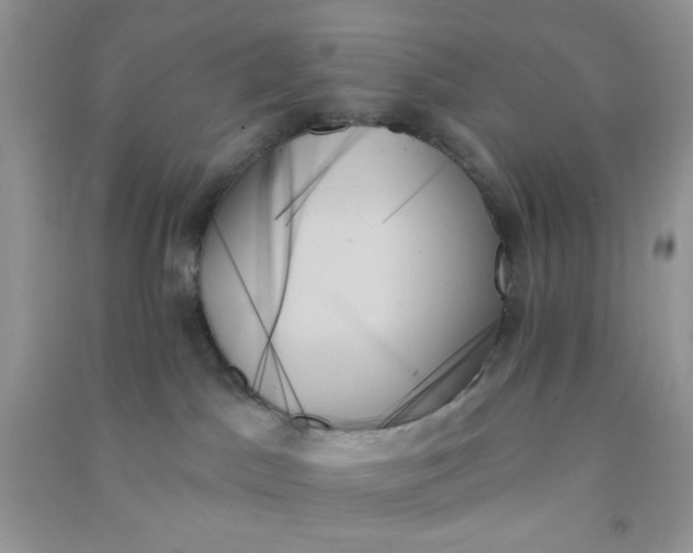 X0000091000045200708161947
