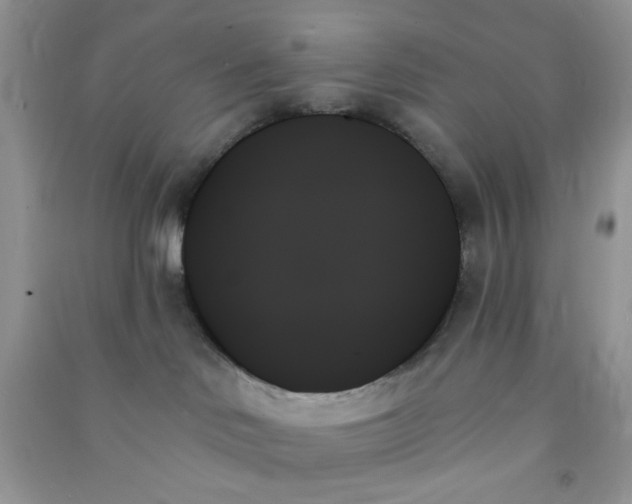 X0000091000046200708161947