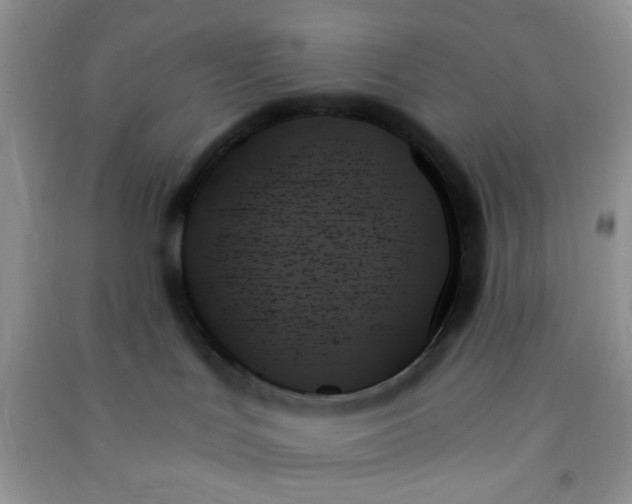 X0000091000047200708161947