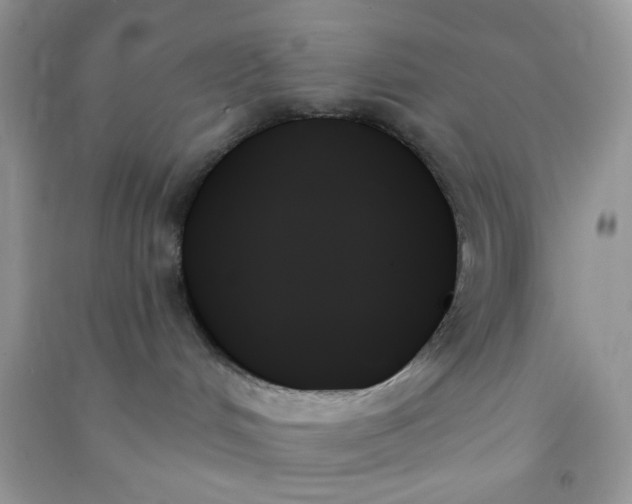 X0000091000048200708161947