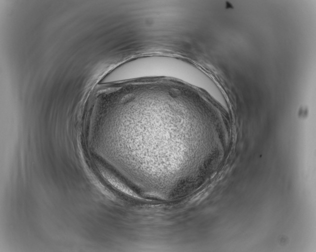 X0000091000049200708161946