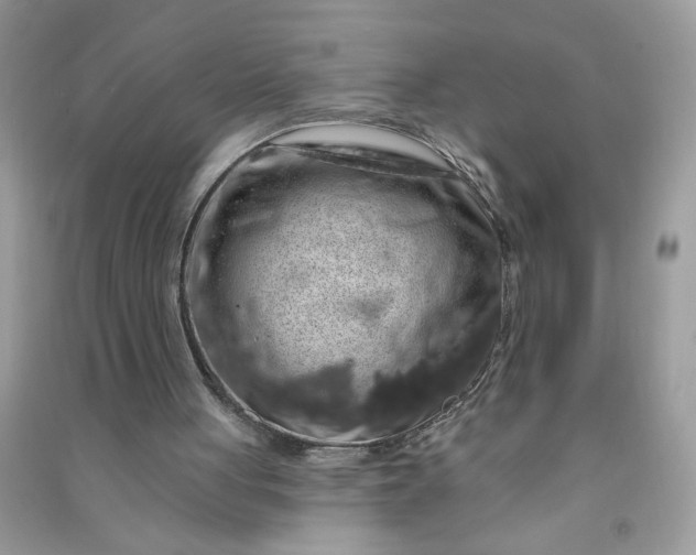X0000091000051200708161946
