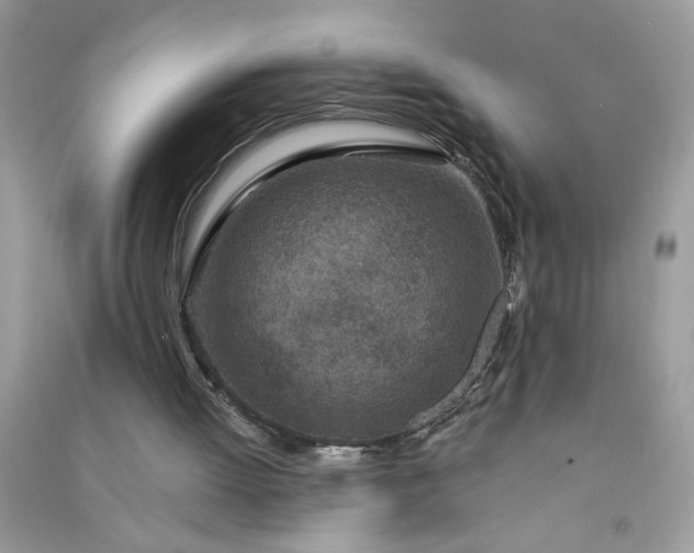 X0000091000052200708161946