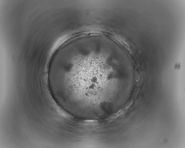 X0000091000053200708161946