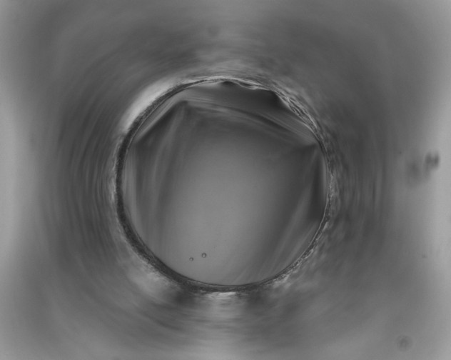 X0000091000054200708161946