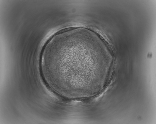 X0000091000055200708161946
