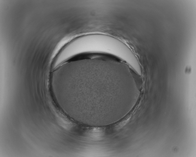 X0000091000056200708161946