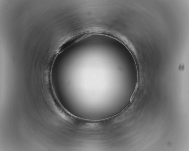 X0000091000057200708161946
