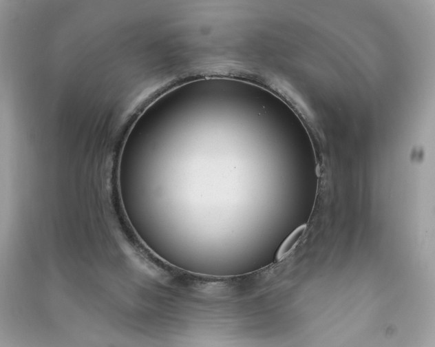 X0000091000058200708161946