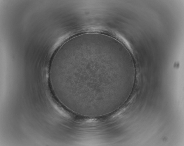 X0000091000059200708161946