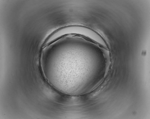 X0000091000060200708161946