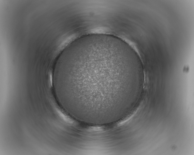 X0000091000061200708161946