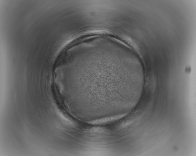 X0000091000063200708161946