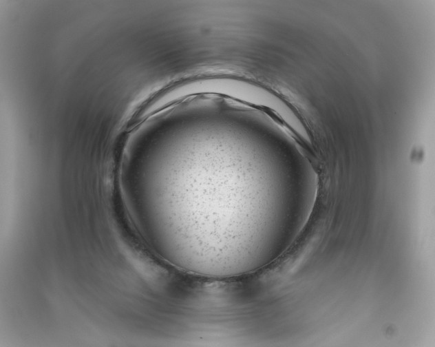 X0000091000064200708161946