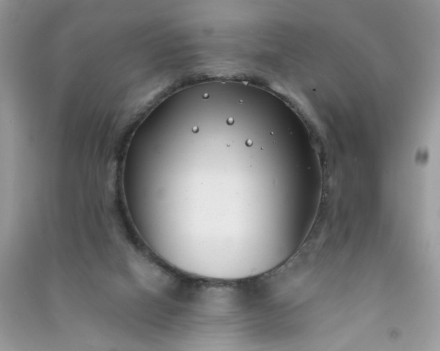 X0000091000066200708161947