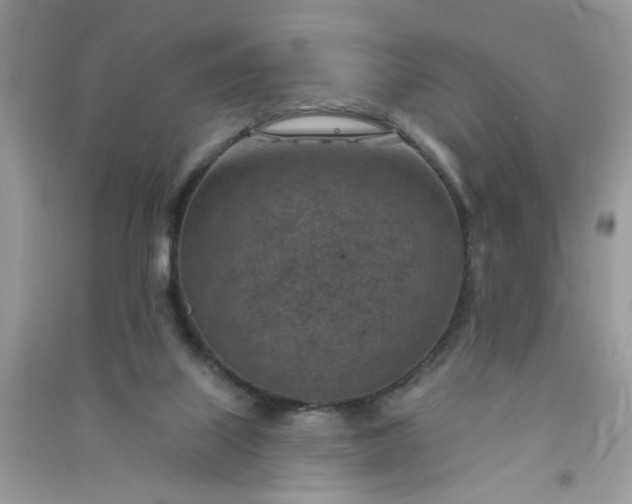 X0000091000067200708161947