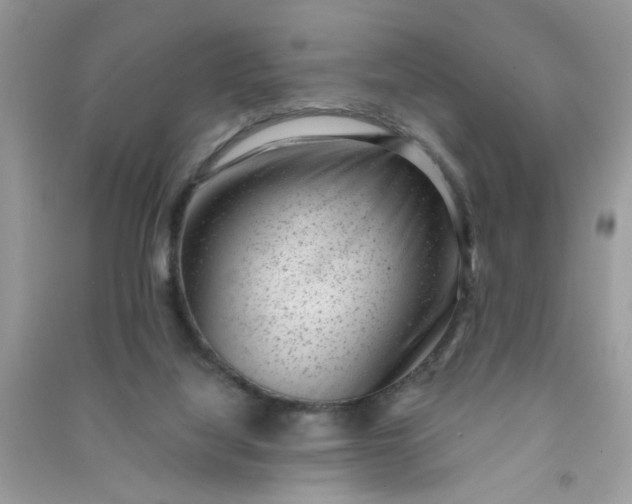X0000091000068200708161947