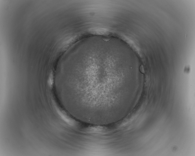 X0000091000069200708161947