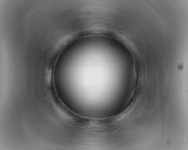 X0000091000070200708161947