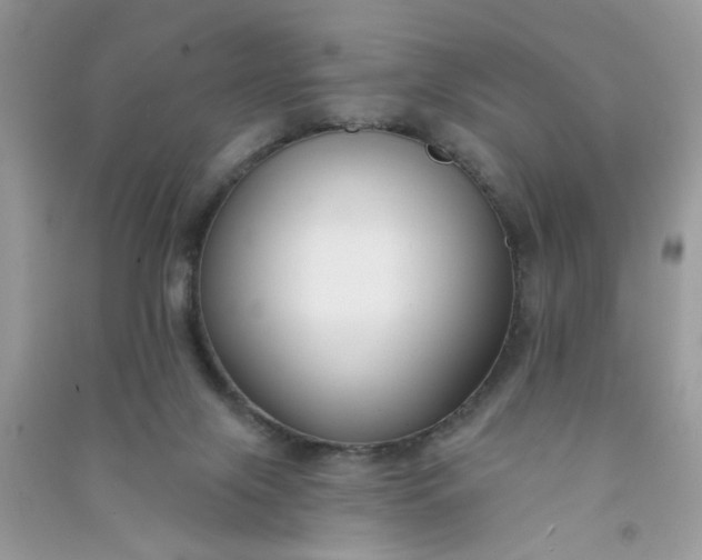X0000091000071200708161947