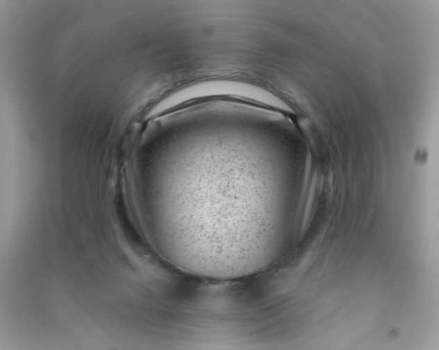 X0000091000072200708161947