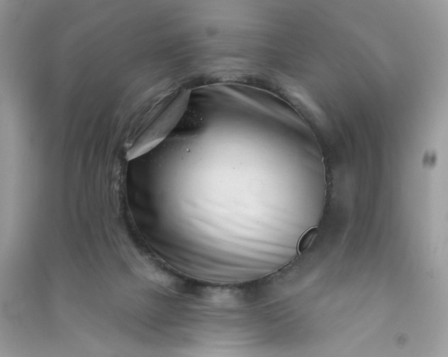 X0000091000073200708161947