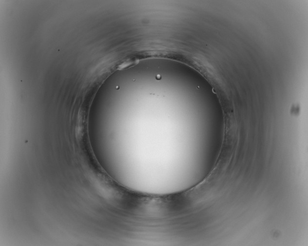 X0000091000074200708161947
