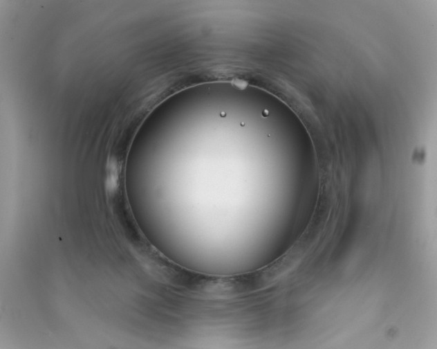 X0000091000075200708161947