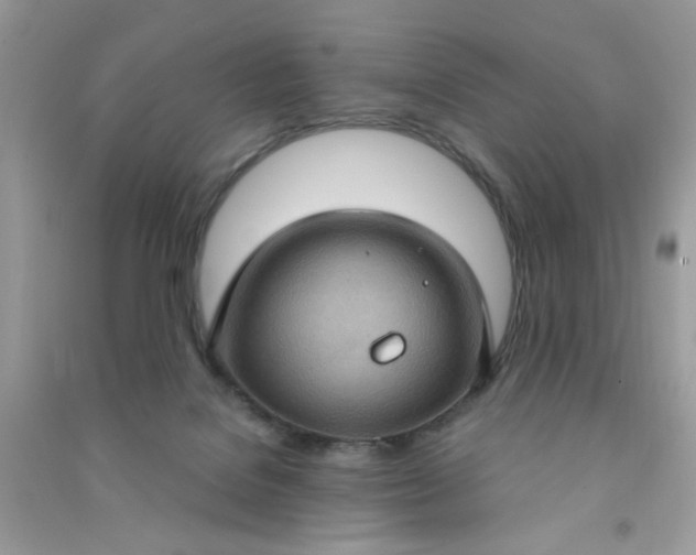 X0000091000076200708161947