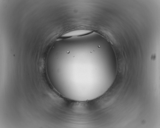 X0000091000077200708161947