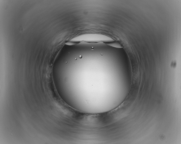 X0000091000078200708161947