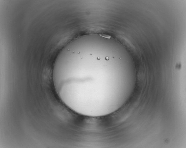 X0000091000079200708161947