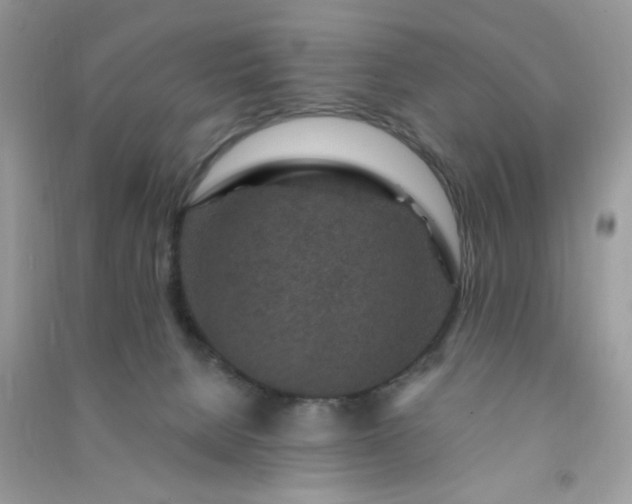 X0000091000080200708161947