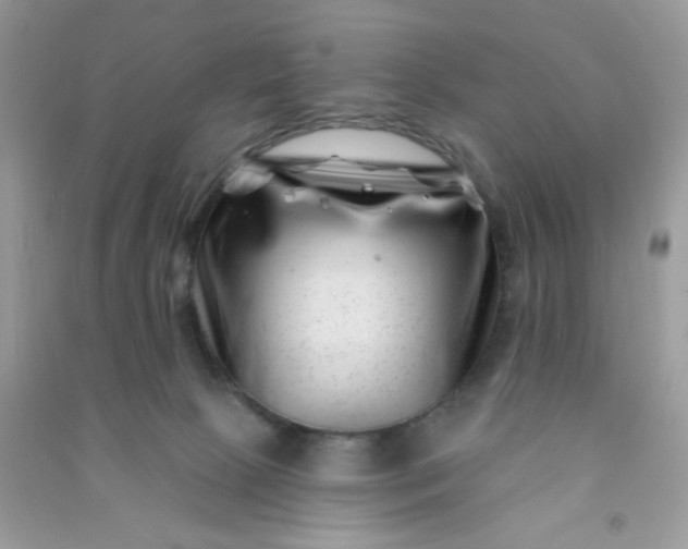 X0000091000081200708161947