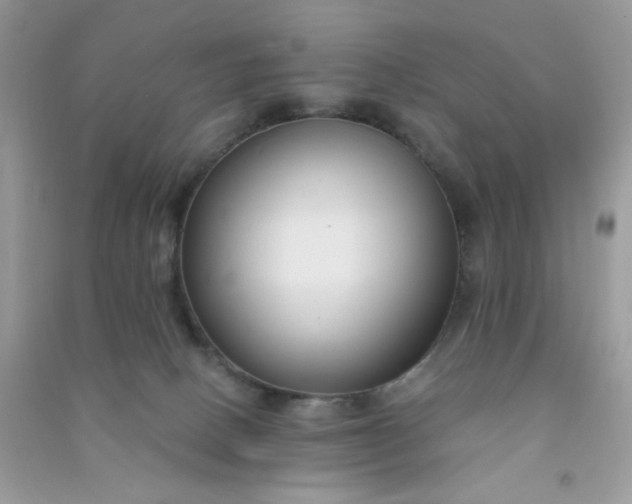 X0000091000082200708161947