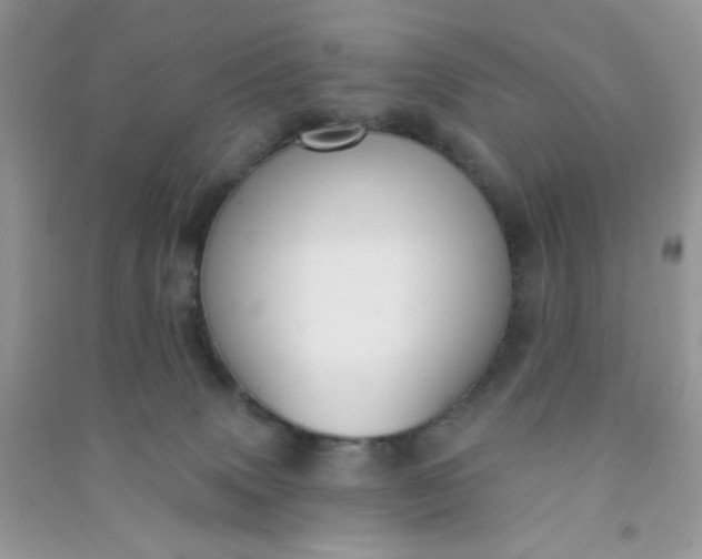 X0000091000083200708161947