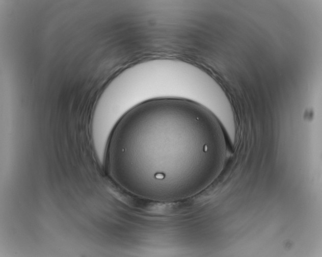 X0000091000084200708161947