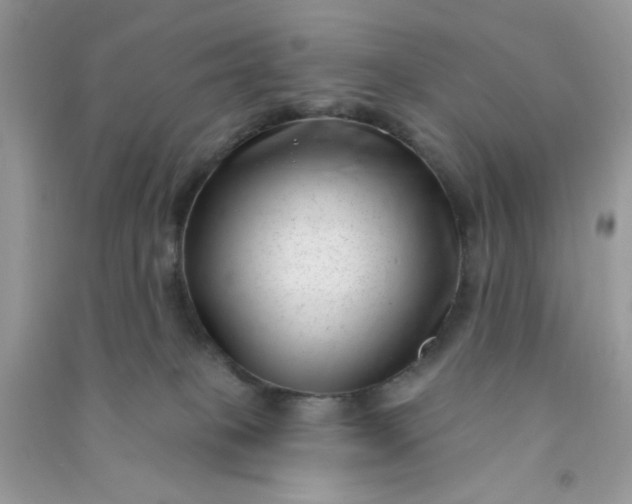 X0000091000085200708161947